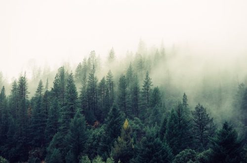 natur i sverige