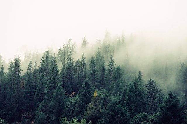 natur i sverige